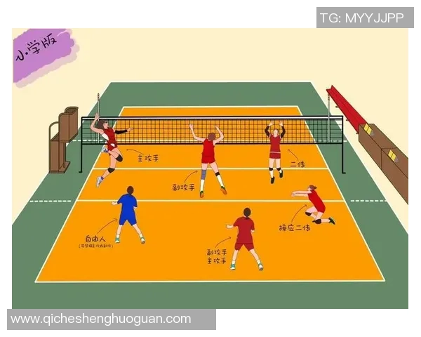 深圳排球队的默契配合与战术探讨：聚焦团队协作与比赛表现